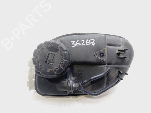 Used Expansion tank MERCEDES-BENZ B-CLASS Sports Tourer (W246, W242) [2011-2018]  21757968