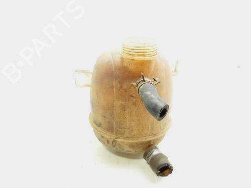 Used Expansion tank RENAULT KANGOO (KC0/1_) 1.5 dCi (68 hp) 19704894