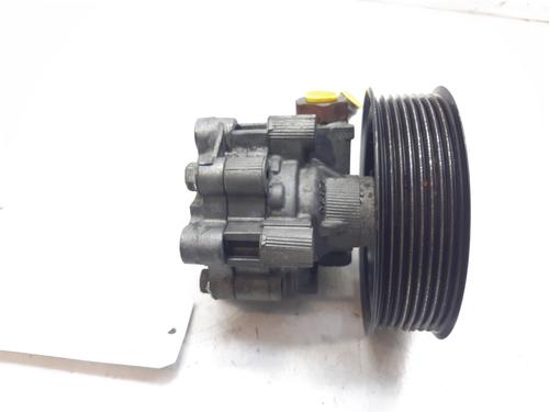 Styring servopumpe LAND ROVER DISCOVERY III (L319) 2.7 TD 4x4 (190 hp) 10918977