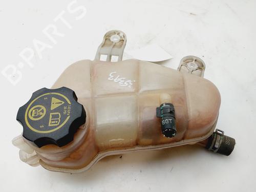Used Expansion tank CHEVROLET AVEO Saloon (T300) 1.2 LPG (86 hp) 30660502
