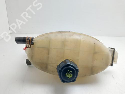 Used Expansion tank Expansion tank NISSAN PRIMASTAR Van (X83) [2002-2026] 36036862 36036862