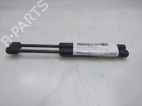 Used Hood lift support BMW 1 (F20) 116 d (116 hp) 16006512