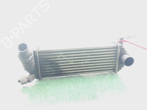 Used Intercooler RENAULT KANGOO / GRAND KANGOO II (KW0/1_) 1.5 dCi 70 (KW0V, KW0A) (68 hp) 31352480