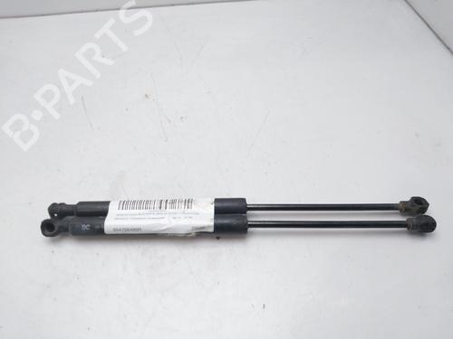 Used Tailgate lift support RENAULT KANGOO / GRAND KANGOO II (KW0/1_) 1.5 dCi 70 (KW0V, KW0A) (68 hp) 14006365