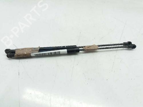 Used Tailgate lift support LAND ROVER DISCOVERY III (L319) 2.7 TD 4x4 (190 hp) 13993315