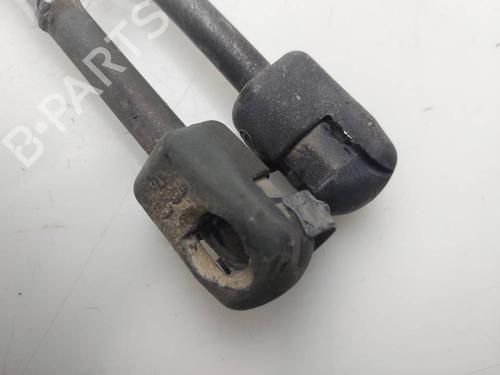 Tailgate lift support DACIA SANDERO | BP39960167C138 - Image 4