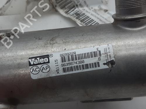 Egr CITROËN XSARA (N1) 2.0 HDi 90 | BP13999097M69 