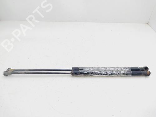 Tailgate lift support SEAT IBIZA III (6L1)  | BP25739040C138 