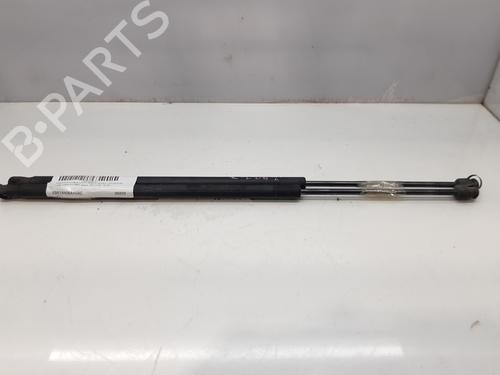 Used Tailgate lift support FORD FIESTA V (JH_, JD_) 1.4 TDCi (68 hp) 14005563