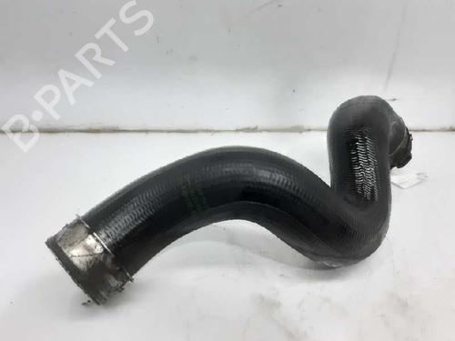 Pipe BMW 3 (E90) 318 d | BP13995419M125 