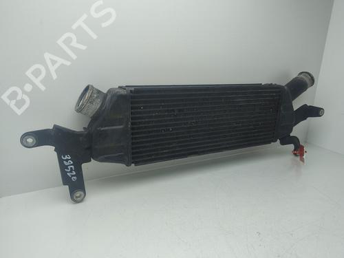 Intercooler CITROËN C-CROSSER (VU_, VV_) 2.2 HDi | BP32256217M30