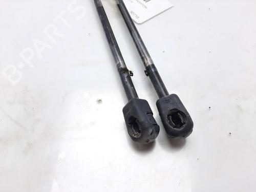 Tailgate lift support FORD KUGA I  | BP14007965C138 