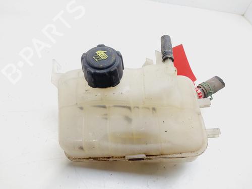 Used Expansion tank RENAULT MEGANE III Hatchback (BZ0/1_, B3_) 1.5 dCi (86 hp) 26927282