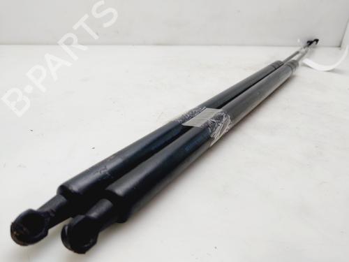 Tailgate lift support SEAT TOLEDO III (5P2)  | BP21177861C138 