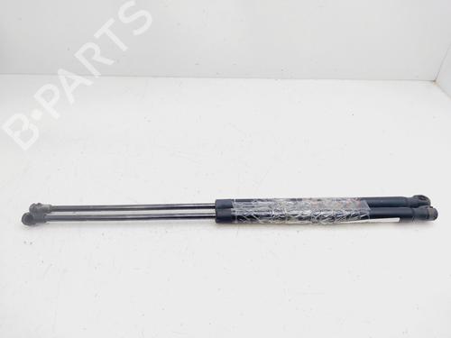Tailgate lift support SEAT IBIZA III (6L1)  | BP25738975C138 