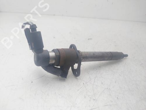 Injector LAND ROVER RANGE ROVER SPORT I (L320)  | BP29452497M100 