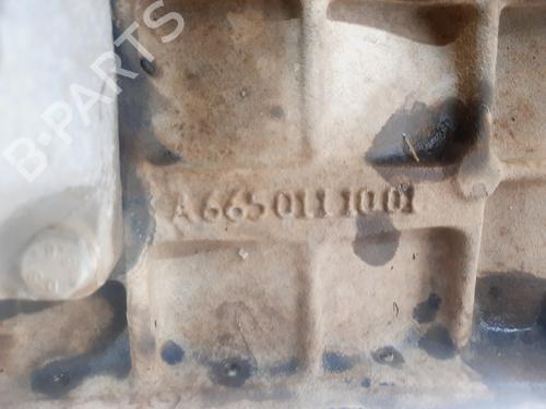 Engine SSANGYONG KYRON  | BP22608973M1 