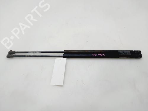 tailgate-lift-support-citroen-saxo-s0-s1-1996-1997-1998-1999-2000-2001-2002-2003-2004-32289893 main image