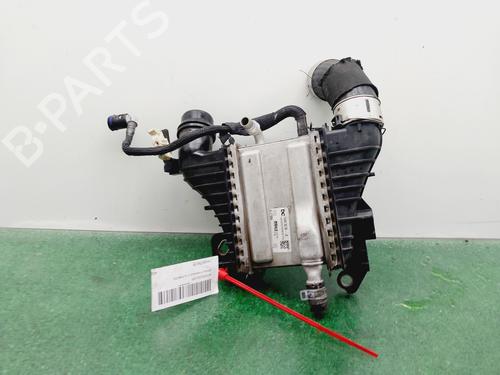 Intercooler RENAULT KANGOO III MPV [2021-2025]  30857826