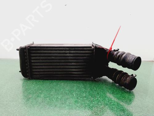 Intercooler CITROËN C-ELYSEE (DD_) [2012-2025]  30882361