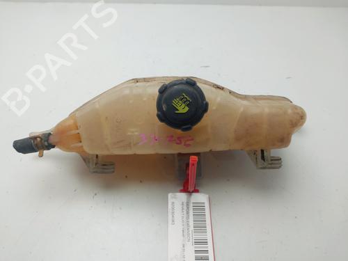 Ekspansjonstank RENAULT CLIO III (BR0/1, CR0/1) 1.5 dCi (75 hp) 25028440