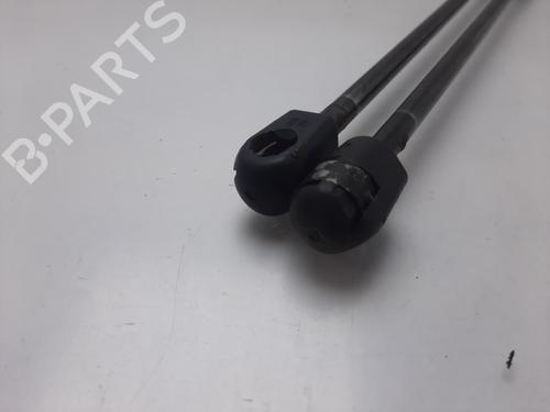 Tailgate lift support MERCEDES-BENZ M-CLASS (W163) ML 400 CDI (163.128) | BP17130430C138 