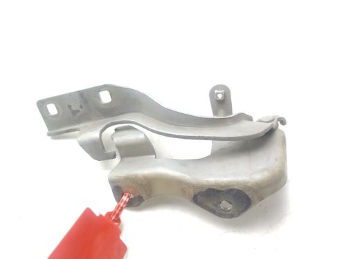 Hinge/Door check strap CHEVROLET CAPTIVA (C100, C140) 2.4 LPG | BP29607661C146