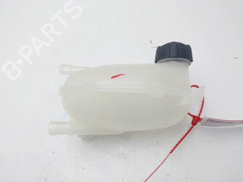 Expansion tank DACIA SANDERO III  | BP29390863C120 
