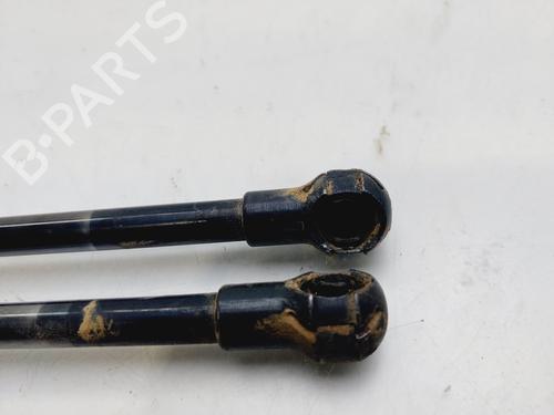Tailgate lift support NISSAN X-TRAIL I (T30)  | BP18667854C138 