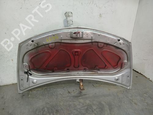 Hood RENAULT CLIO III (BR0/1, CR0/1) 1.5 dCi (BR17, CR17) | BP28034600C1 