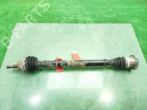 Right front driveshaft SEAT LEON (1M1)  | BP29502156M39 