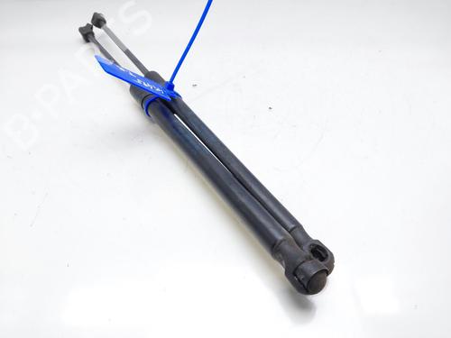 Tailgate lift support FORD KUGA I  | BP14008619C138 