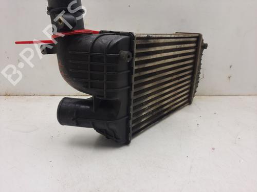 Intercooler CITROËN JUMPER I Van (244) 2.8 HDi | BP17621620M30 