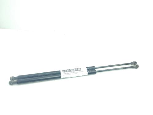 Tailgate lift support BMW X5 (E53) 3.0 d | BP22435510C138 
