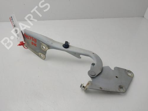 Used Hinge/Door check strap RENAULT MEGANE III Hatchback (BZ0/1_, B3_) [2008-2026]  32300155