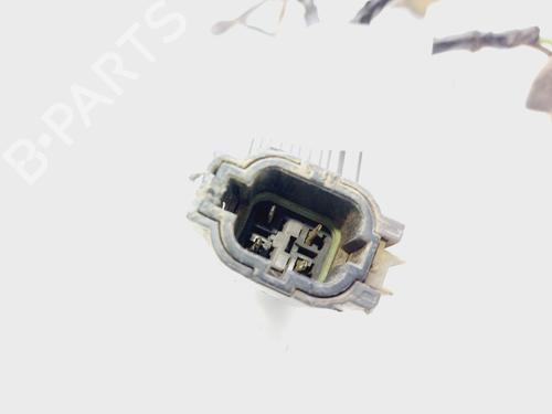 Lamp holder FORD MAVERICK (UDS, UNS) 2.7 TD | BP20296559L10