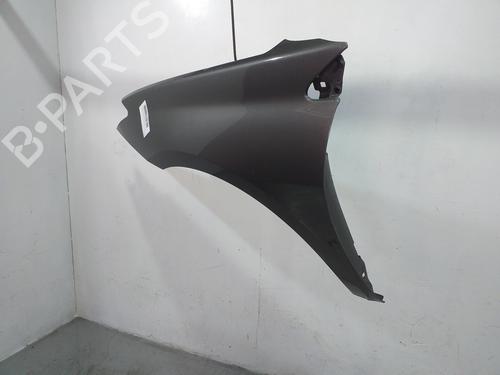 Left front fenders RENAULT LAGUNA III (BT0/1) 2.0 dCi (BT01, BT08, BT09, BT0E, BT0K, BT12, BT1C, BT1D,... | BP17946149C41 