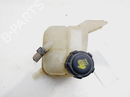 Used Expansion tank RENAULT KOLEOS I (HY_) 2.0 dCi (HY0K) (150 hp) 23127527