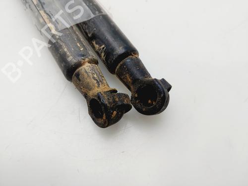 Tailgate lift support DACIA DUSTER (HM_) | BP32514920C138