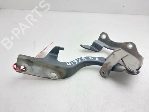 hingedoor-check-strap-chevrolet-captiva-c100-c140-2006-36551945 main image