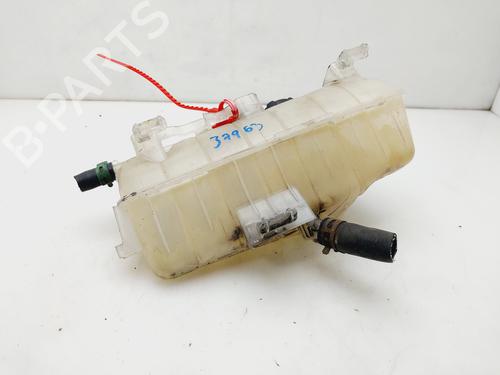 Used Expansion tank RENAULT KANGOO / GRAND KANGOO II (KW0/1_) [2008-2025]  25591384
