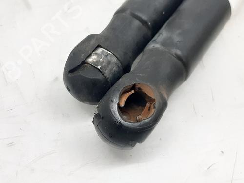 Tailgate lift support FORD FUSION (JU_) 1.4 | BP14000128C138 