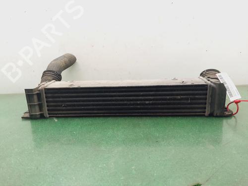 Intercooler BMW 3 (E90) 318 d | BP25935698M30 