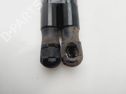 Tailgate lift support CITROËN C4 II (NC_) | BP32032726C138