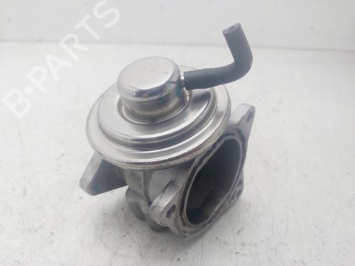 Egr VW PASSAT B6 (3C2)  | BP29519205M69 