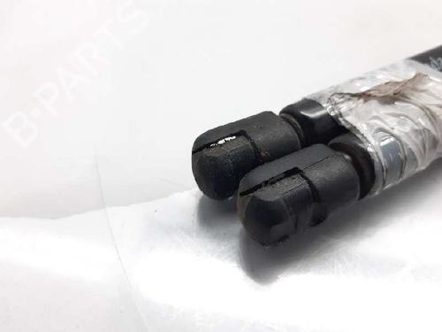 Tailgate lift support FORD FIESTA V (JH_, JD_) 1.3 | BP13996216C138 