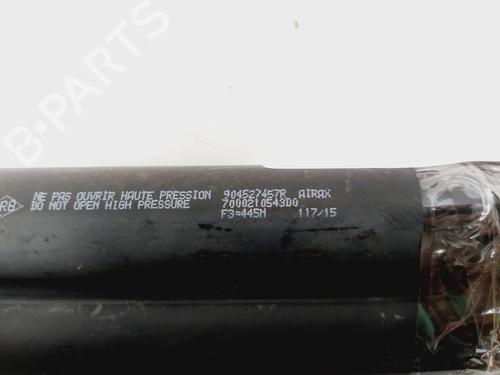 Tailgate lift support DACIA LOGAN MCV II  | BP29467865C138 