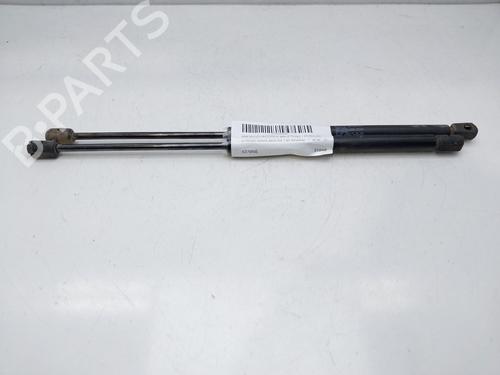 Tailgate lift support CITROËN XSARA Coupe (N0) 1.9 D | BP14010002C138 