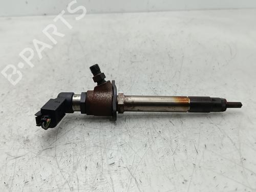 Used Injector JAGUAR S-TYPE II (X200) 2.7 D (207 hp) 30401934