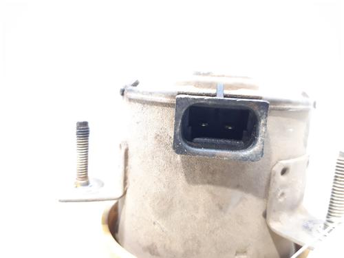Radiator fan FIAT PANDA (141_) 1000 i.e. Cat | BP10991156M35 